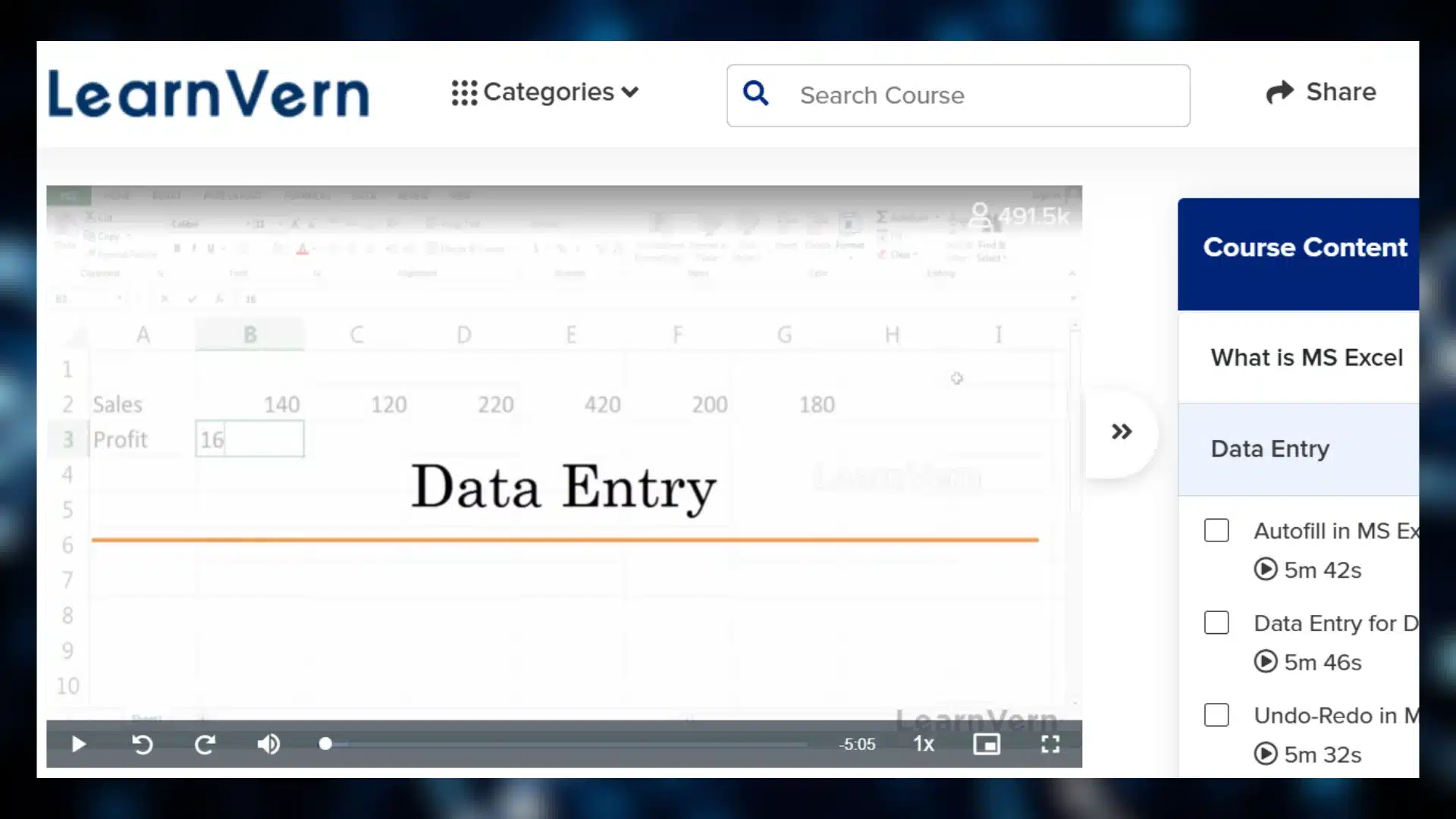 screenshot of a learnvern online course titled "data entry," showing a spreadsheet with sales and profit data