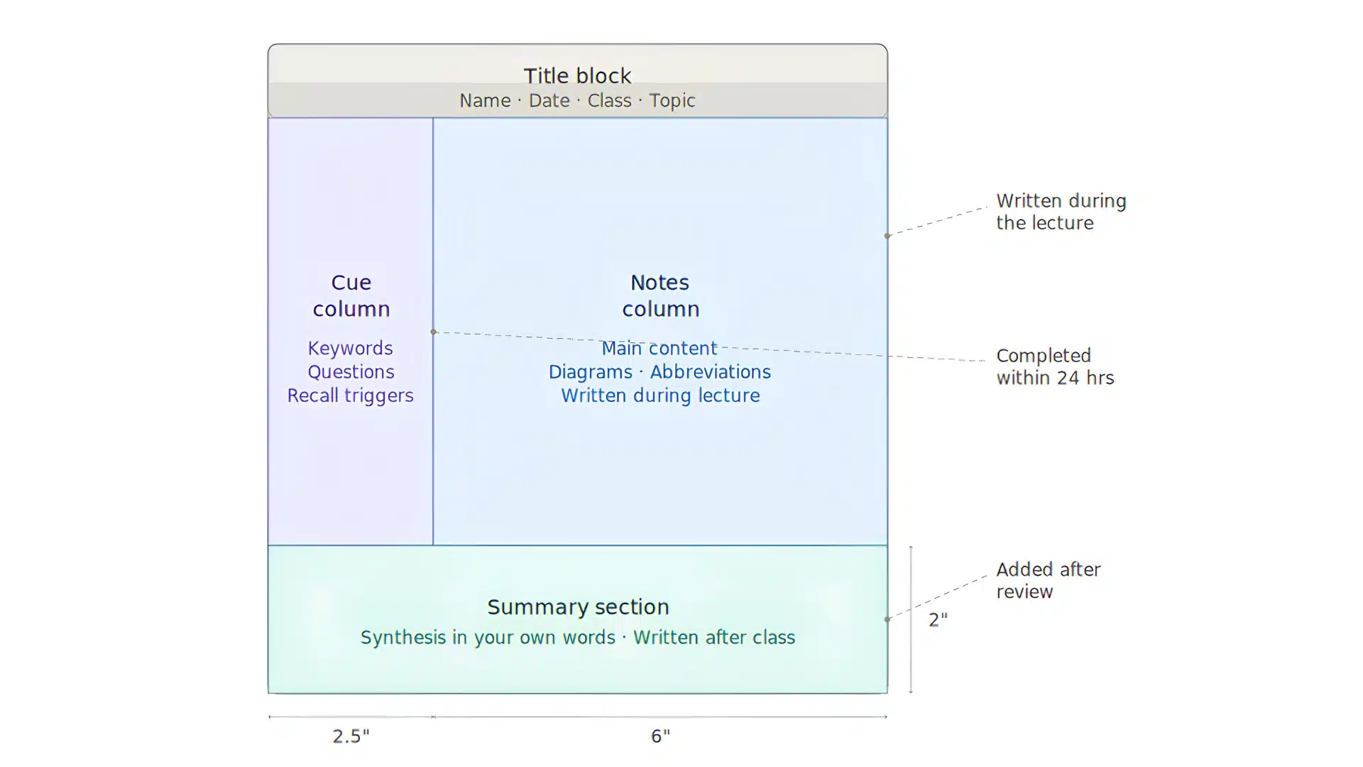 cornell notes anatomy diagram showing the cue, notes, and summary sections with labels