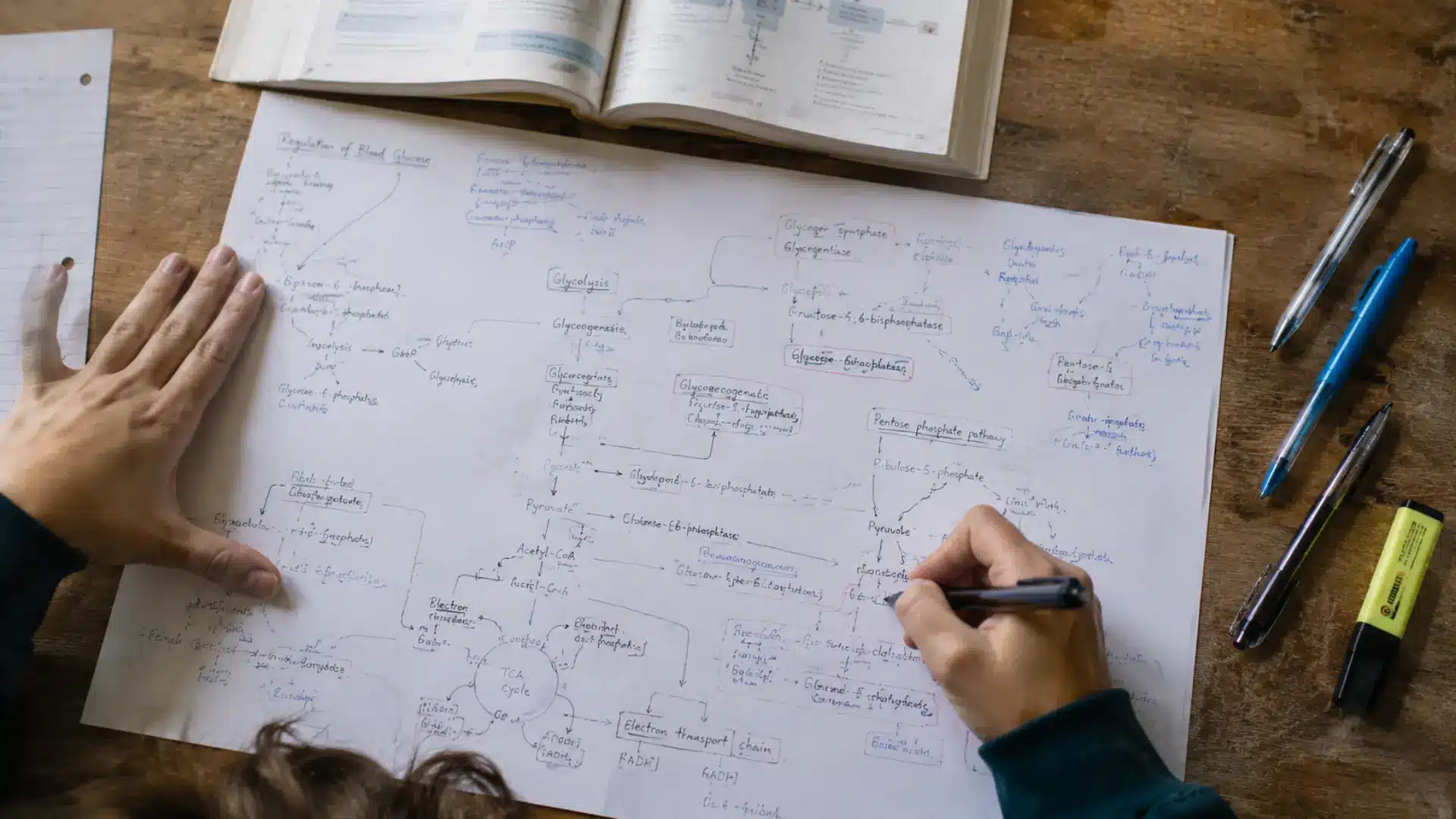 student mapping out a detailed biochemistry concept map by hand with arrows and pathways on a large sheet of paper next to an open textbook