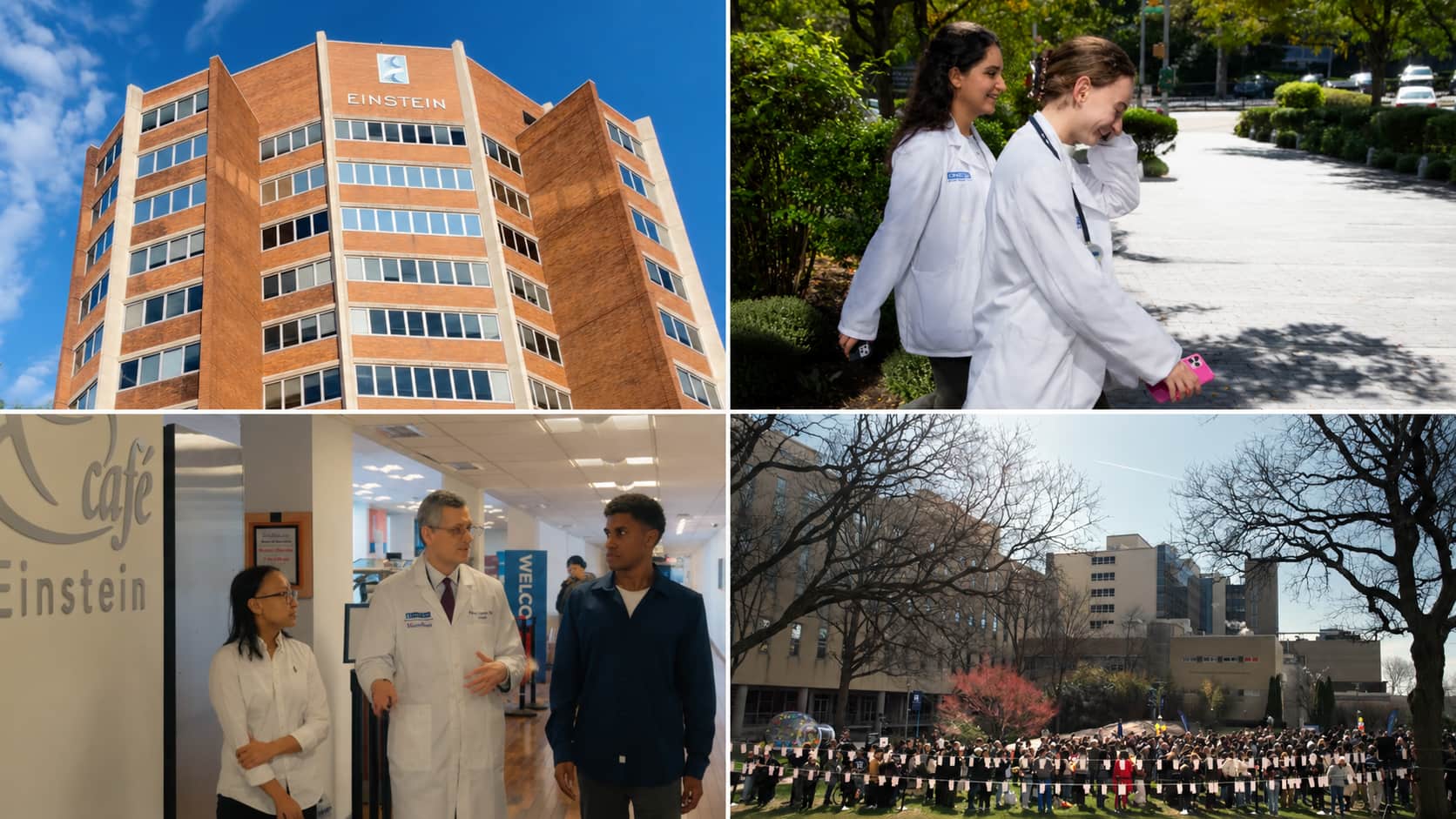 albert einstein college of medicine campus collage showing building, students, indoor and outdoor scenes