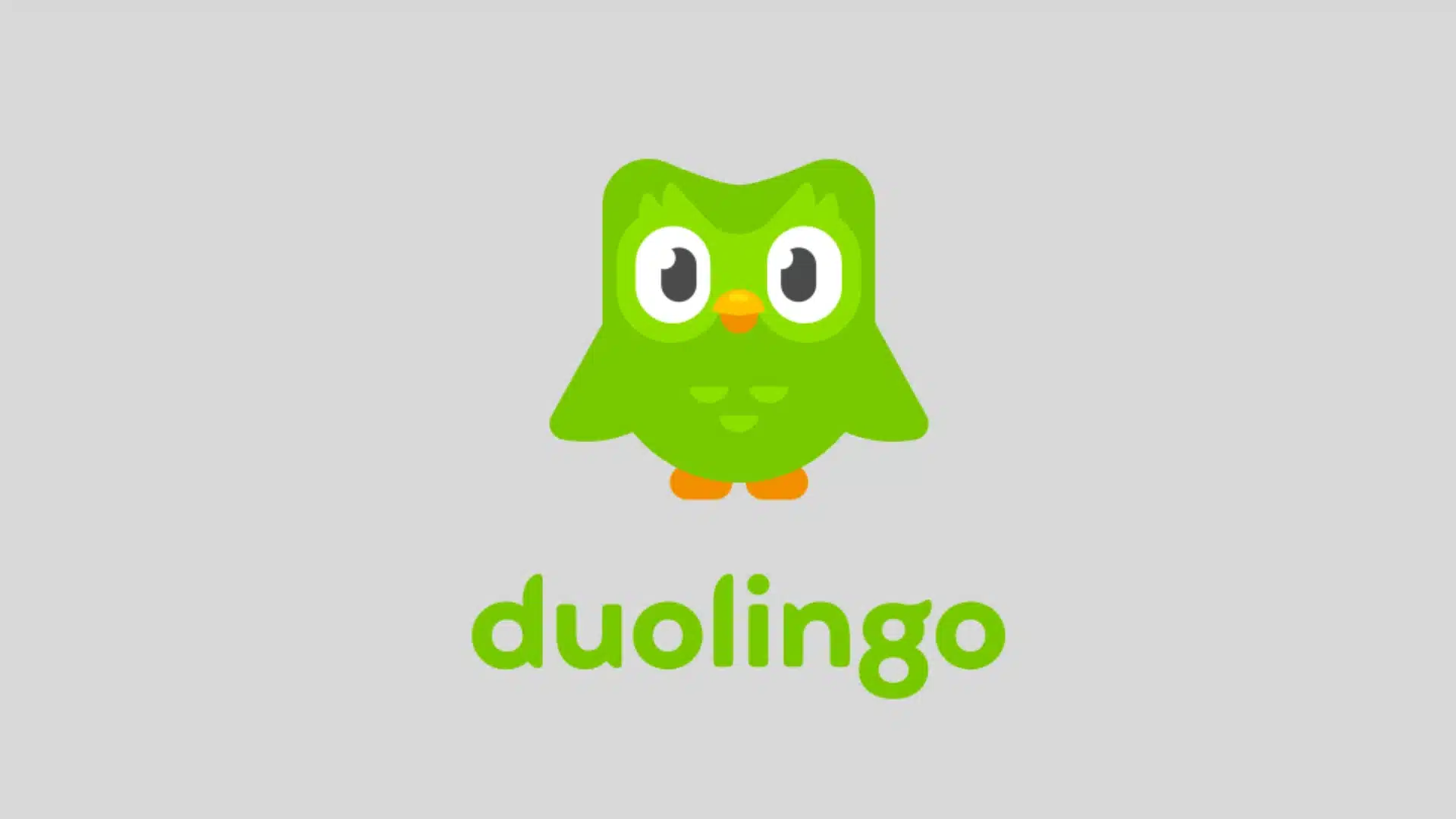 duolingo green owl logo above the brand name on a light gray background for an English test guide